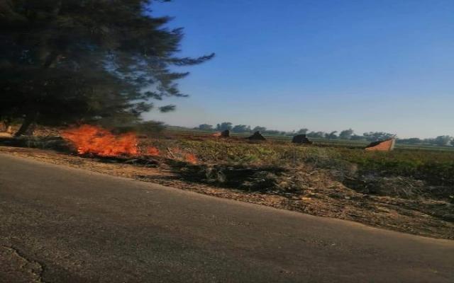 السيطرة على حريق مخلفات وأشجار بكفر كلا الباب بالغربية