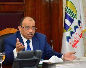 انتخابات البرلمان 2020.. وزير التنمية المحلية...