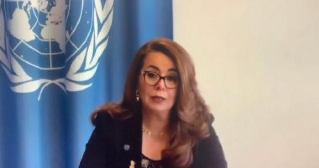وزير خارجية النمسا يشيد بجهود غادة والي في مجال حقوق الإنسان