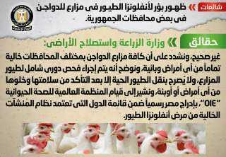الوزراء ينفى ظهور بؤر لأنفلونزا...
