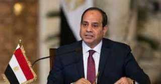 السيسي يؤكد أهمية استمرار الجهود...