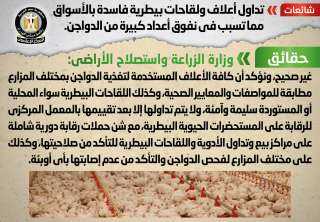 الوزراء ينفى تداول أعلاف ولقاحات...