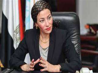 وزيرة البيئة : دفن الدولفين...