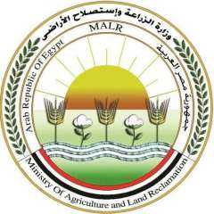 الزراعة تصدر توصياتها للمزارعين في...