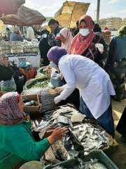 بيطري الشرقية يضبط 304 كجم...