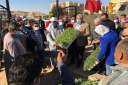 وزير الزراعة يواصل جولاته على...