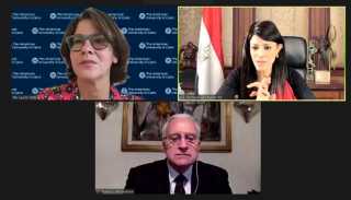 المشاط تشارك فى جلسة افتراضية...