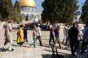 45 مستوطنا يقتحمون باحات المسجد...