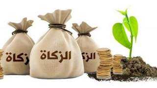 المفتي: الفقهاء توسعوا في مصارف...