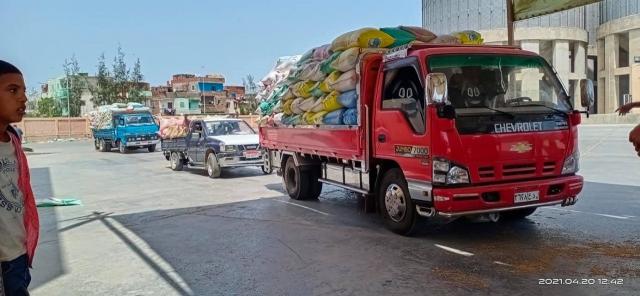 توريد 2777 طن قمح لشون وصوامع كفر الشيخ.. صور