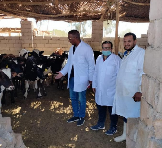 الزراعة : بحوث الصحراء ينظم قافلة بيطرية مجانية في محافظة جنوب سيناء