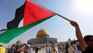 مقتل 255 فلسطينيا في غزة...