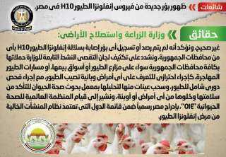 الحكومه تنفى شائعة ظهور بؤر...