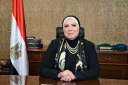 وزيرة التجارة: اقتصادية قناة السويس...