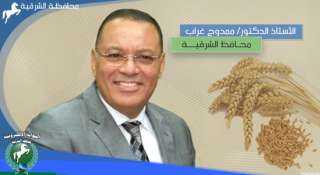 على قدم وساق.... مازالت صوامع...