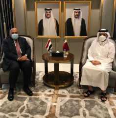 وزيرا خارجية مصر وقطر يؤكدان...