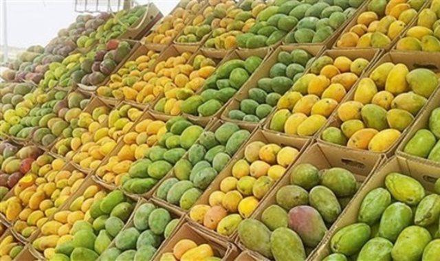 أسعار وأنواع المانجو في سوق العبور للجملة اليوم الأربعاء