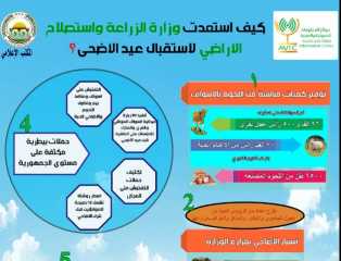 انفوجراف وفيديو.. تعرف على الخطة...
