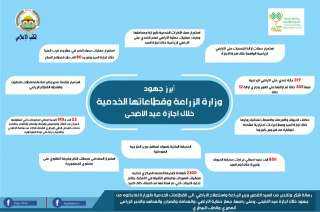 انفوجراف.. تعرف على أبرز جهود...