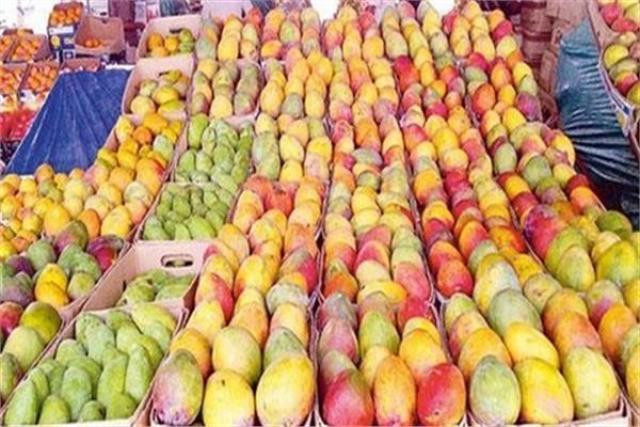 أسعار وأنواع المانجو في سوق العبور اليوم الاثنين