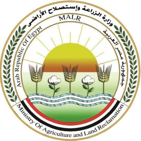الزراعة :10 نصائح وإرشادات لمزارعى الأسماك لتخفيف اثار الحرارة المرتفعة التي تشهدها مصر حاليا