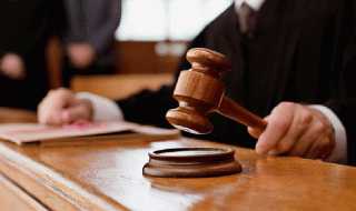 الجنايات تحيل أوراق المتهمين بقتل...