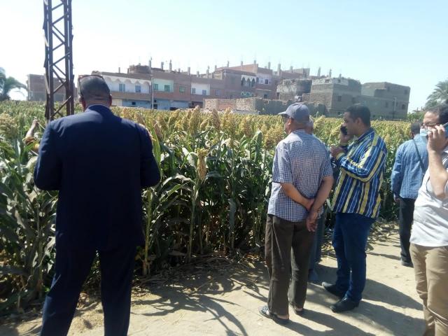 محافظ أسيوط يوجه بالمتابعة الدورية للمشروعات الجارية