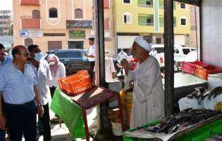 في جولة ميدانية لمحافظ أسوان...