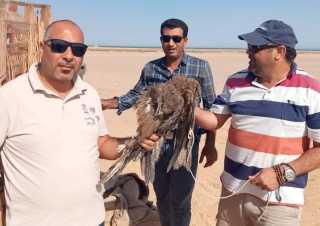 البيئة تنظم حملة تفتيشية مكبرة...