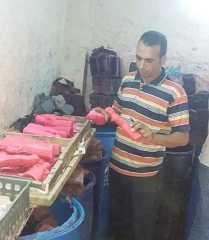 ضبط 501 كجم حلوي المولد...