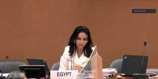 وفد مصر يعرض الجهود الوطنية...