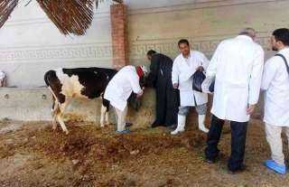 الزراعه تطلق 6 قوافل بيطرية...