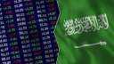 مشغل البورصة السعودية يحدد نطاقا...