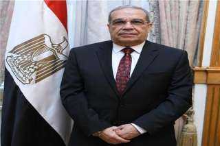 وزير الإنتاج الحربى: الجناح المصرى...