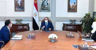 السيسي يطلع على برامج الحماية...