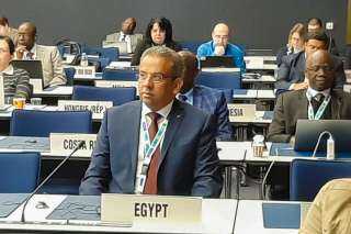 مصر تشارك في اجتماعات مجلس...