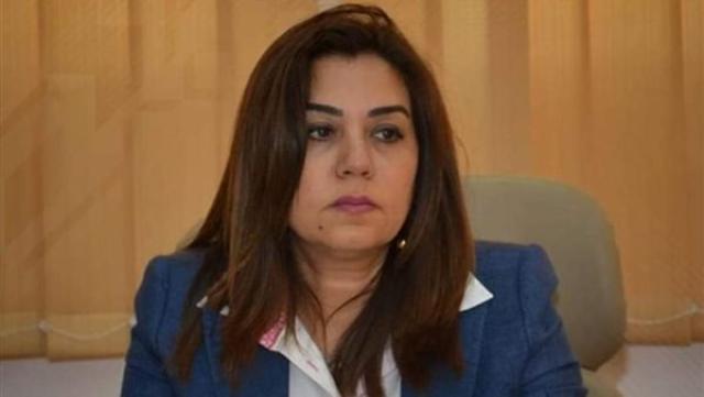 محافظ دمياط