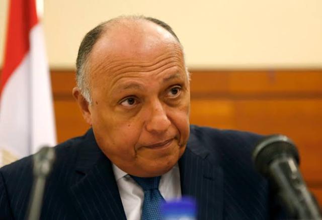 سامح شكرى