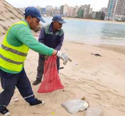 ياسمين فؤاد : إنتهاء إجراءات...