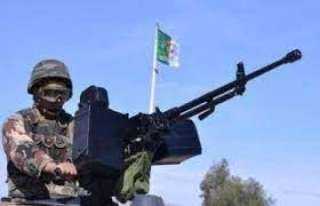 الجزائر: القبض على 19 عنصر...