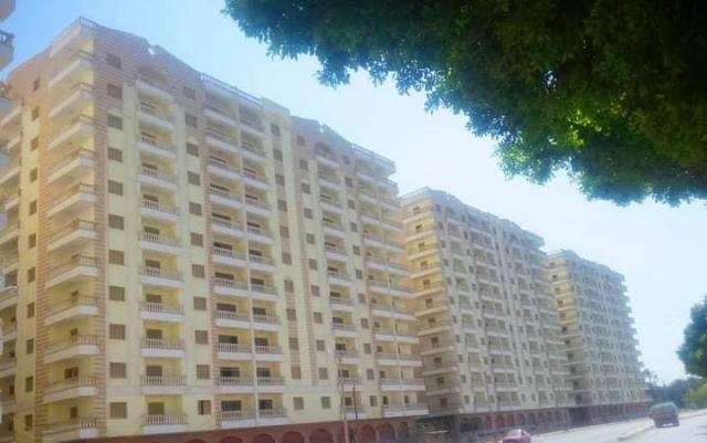 جهود وزارة الأوقاف في تنمية الصعيد