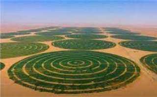 البحوث الزراعية : مشروع توشكى...