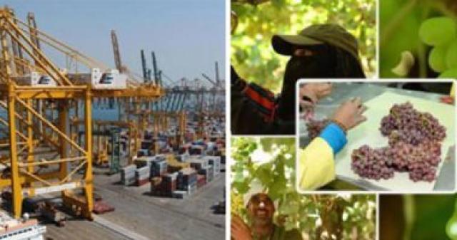 الصادرات الزراعية