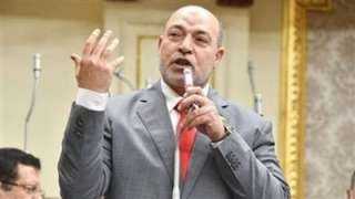 تضامن النواب : مشروع ”صكوك...