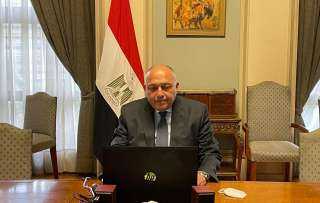 شكري يشارك في جلسة افتراضية...