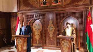 وزير الخارجية: مصر لم تكن...
