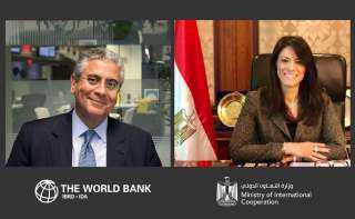 المشاط تلتقي فريد نائب رئيس...