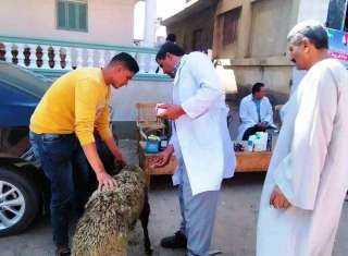 بيطري الشرقية يرش 82 ألف...
