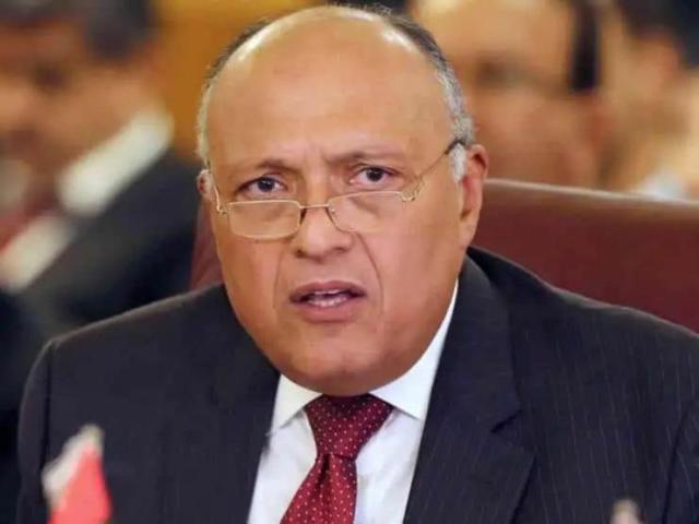 وزير الخارجية يتوجه إلى مدينة بون الألمانية