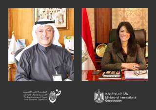 وزيرة التعاون الدولي تبحث التعاون...